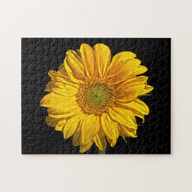 Sonnenblume 11x14 252pc jpa puzzle (Horizontal)