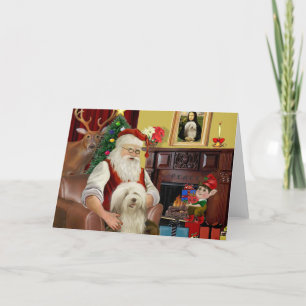 Sonnenblume (#16) feiertagskarte