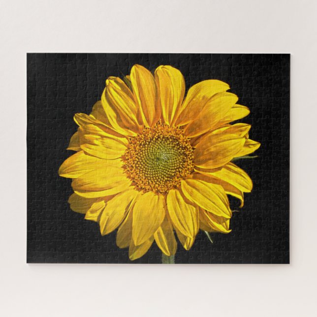 Sonnenblume 16x20 520pc jpcnm puzzle (Horizontal)
