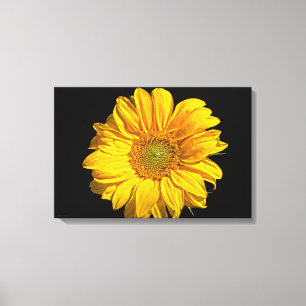 Sonnenblume 24x16 (60x40cm) waccna leinwanddruck