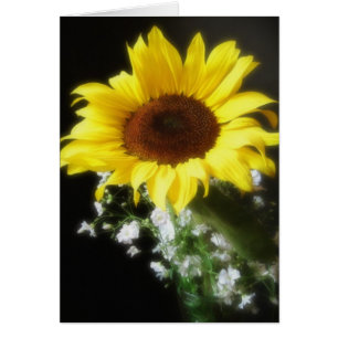 Sonnenblume 6