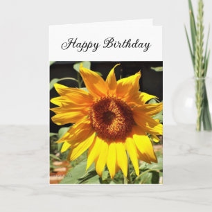 Sonnenblume Alles Gute zum Geburtstag gefaltete Gr Feiertagskarte