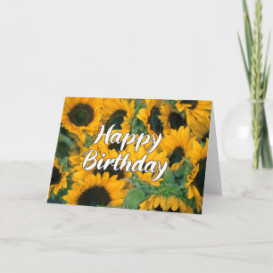 Sonnenblume Alles Gute zum Geburtstag Schöne Fotok Karte