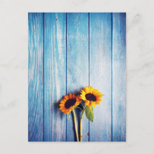 Sonnenblume an der blauen Holzwand Postkarte