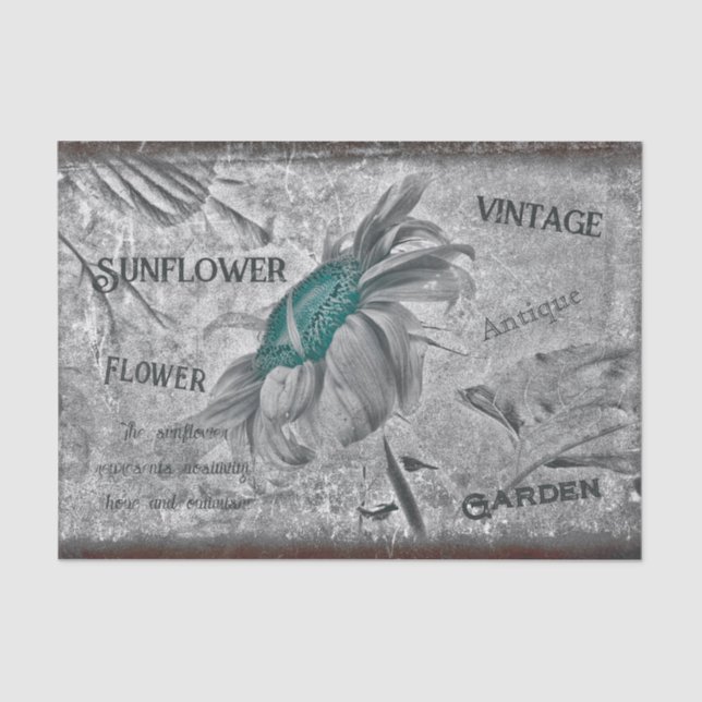 Sonnenblume Aquamarin Grau Vintage Ephemera Textur Seidenpapier (Vorderseite)