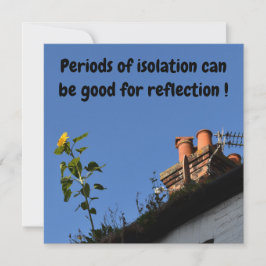 Sonnenblume auf dem Dach.