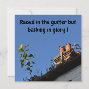 Sonnenblume auf dem Dach.