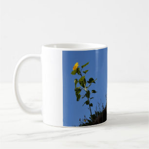 Sonnenblume auf dem Dach. Kaffeetasse