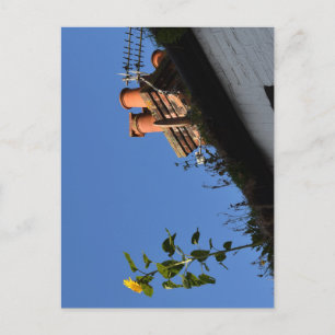 Sonnenblume auf dem Dach. Postkarte