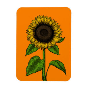 Sonnenblume auf Orange Magnet