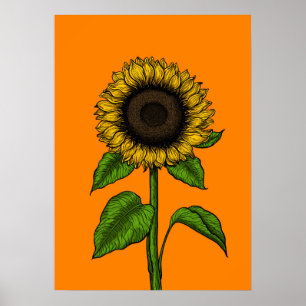 Sonnenblume auf Orange Poster