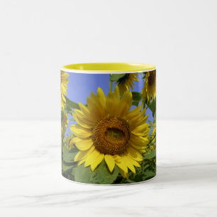 Sonnenblume aus der Provence Zweifarbige Tasse