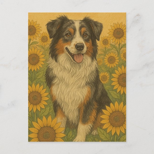 Sonnenblume Australian Shepherd Postkarte (Vorderseite)