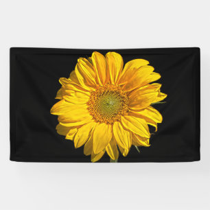 Sonnenblume Banner