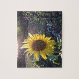 Sonnenblume bei Sonnenuntergang — Puzzle