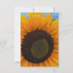 Sonnenblume, Biene und Himmel Mitteilungskarte
