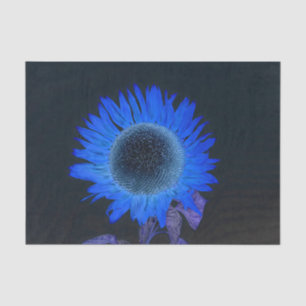 Sonnenblume Blau Lila Schwarz Einzel Rustikal Pop  Seidenpapier