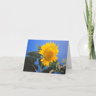Sonnenblume Blue Sky Karte