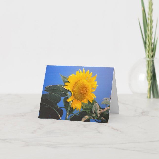 Sonnenblume Blue Sky Karte (Vorderseite)