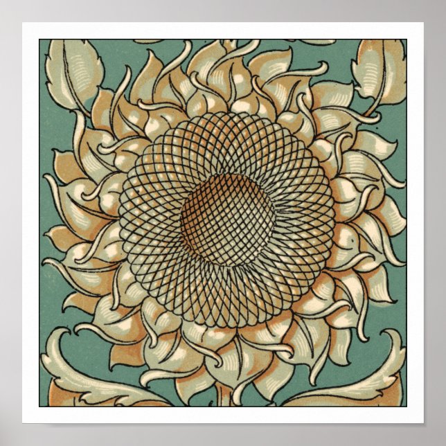 Sonnenblume blühen auf blaugrünem Hintergrund Poster (Vorne)