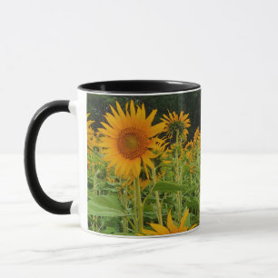 Sonnenblume-Blume Tasse