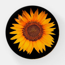 Sonnenblume