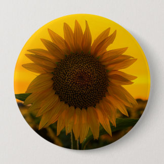 Sonnenblume 🌻  button