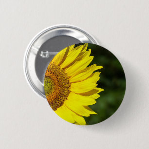 Sonnenblume Button