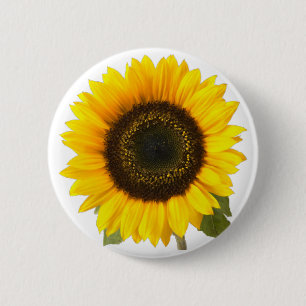 Sonnenblume Button
