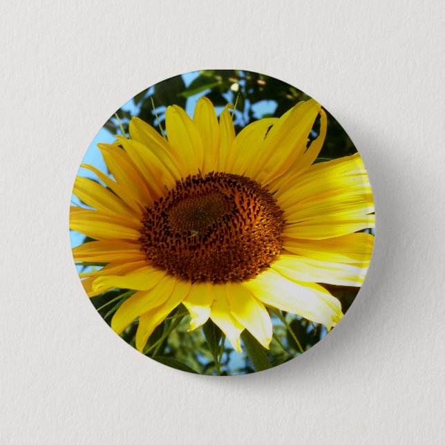 Sonnenblume Button (Vorderseite)