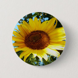 Sonnenblume Button