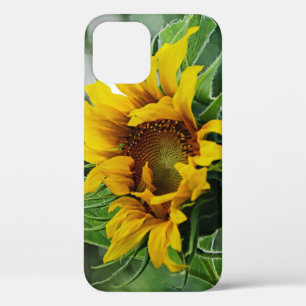Sonnenblume Case-Mate iPhone Hülle