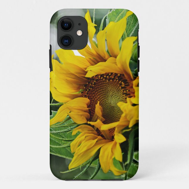 Sonnenblume Case-Mate iPhone Hülle (Rückseite)