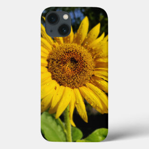 Sonnenblume Case-Mate iPhone Hülle
