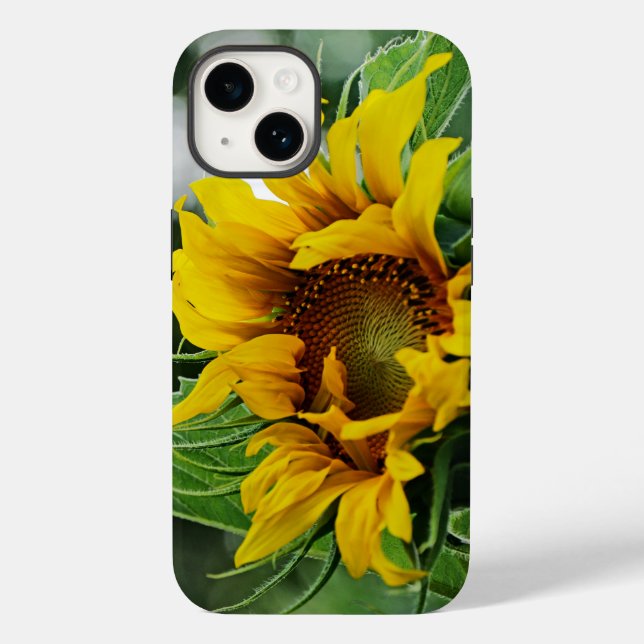 Sonnenblume Case-Mate iPhone Hülle (Rückseite)