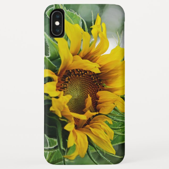 Sonnenblume Case-Mate iPhone Hülle (Rückseite)