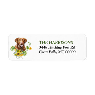 Sonnenblume Chesapeake Bay Retriever Hund Rückkehr