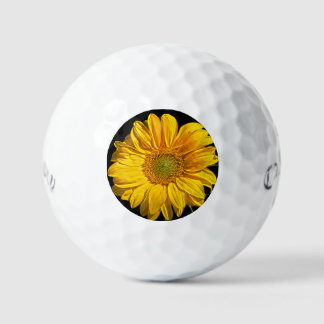 Sonnenblume css gbcna golfball