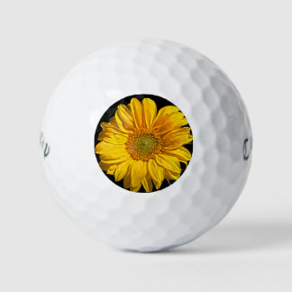 Sonnenblume cwb gbcna golfball