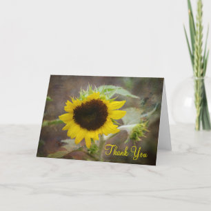 Sonnenblume Danke