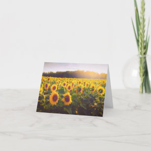 Sonnenblume Danke, geklappte Karte