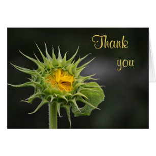 Sonnenblume Danke-Karte