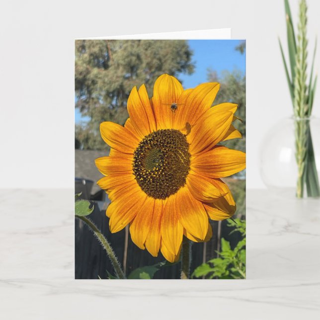 Sonnenblume Dankeskarte (Vorderseite)