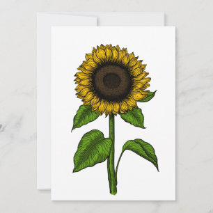 Sonnenblume Dankeskarte