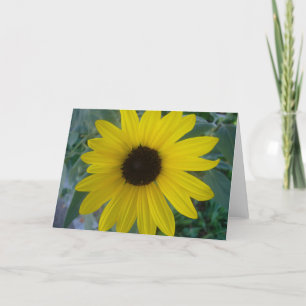 Sonnenblume Dankeskarte