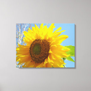 Sonnenblume Die Canvas drucken drei Panels Leinwanddruck