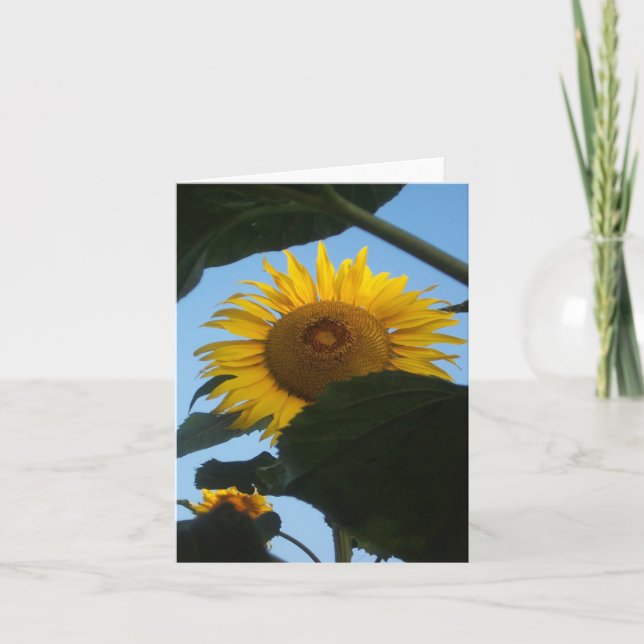 Sonnenblume, die Notecard späht Karte (Vorderseite)