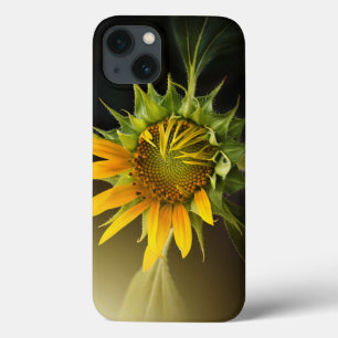 Sonnenblume, die sich in voller Blüte öffnet Case-Mate iPhone Hülle