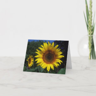 Sonnenblume-Duo Notecard Karte