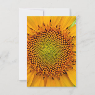 Sonnenblume Einladung